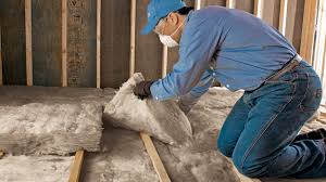 Best Basement Insulation  in Treasure Island, FL